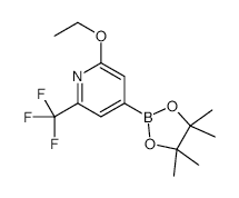 2-Ethoxy-6-trifluoromethylpyridine-4-boronic acid, pinacol ester - Chemical structure and product image