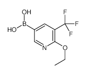6-Ethoxy-5-(trifluoromethyl)-3-pyridinyl boronic acid - Chemical structure and product image
