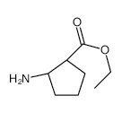 Ethyl (1R,2S)-2-aminocyclopentanecarboxylate - Chemical structure and product image