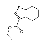 Ethyl 4,5,6,7-tetrahydro-1-benzothiophene-3-carboxylate - Chemical structure and product image