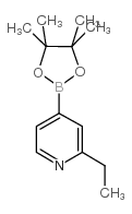 2-Ethylpyridine-4-boronic acid pinacol ester - Chemical structure and product image