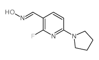 (E)-2-Fluoro-6-(pyrrolidin-1-yl)nicotinaldehyde oxime - Chemical structure and product image