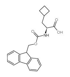 Fmoc-ala(beta-cyclobutyl)-oh - Chemical structure and product image