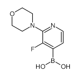 3-Fluoro-2-morpholinopyridine-4-boronic acid - Chemical structure and product image