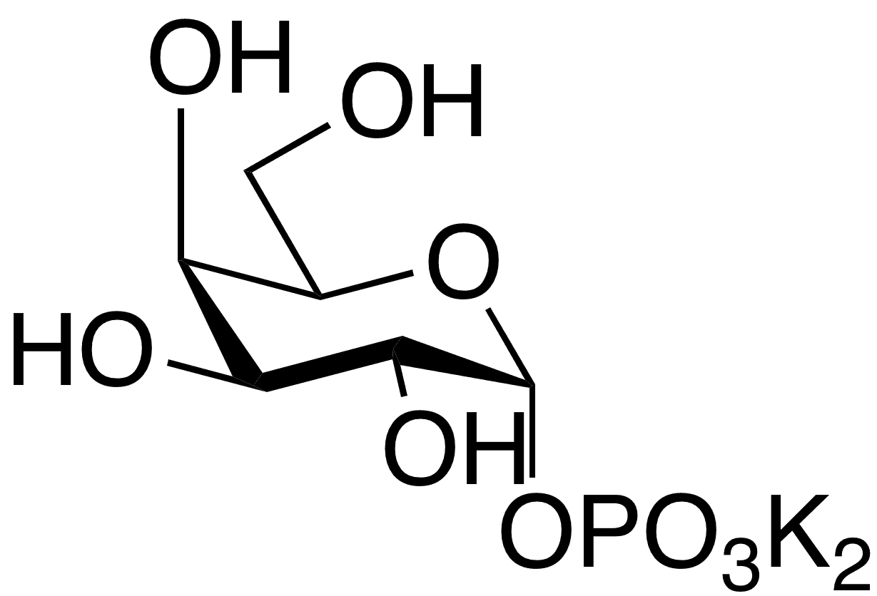(E,Z)-2-Propyl-2-pentenoic Acid - Chemical structure and product image