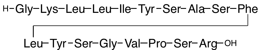 tert-Butyl (2,2-Dimethoxyethyl)carbamate - Chemical structure and product image