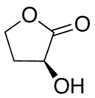 (3alpha,5beta,7alpha,12alpha)-3,7,12-Tris(ethoxymethoxy)-cholan-24-ol - Chemical structure and product image