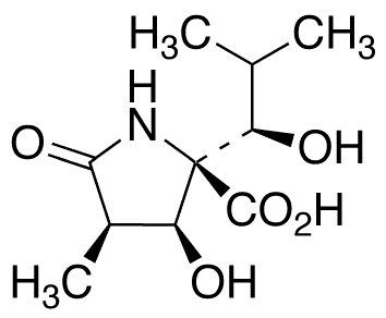 D-Tyrosine tert-Butyl Ester - Chemical structure and product image