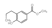 Isoamyl Isobutyrate - Chemical structure and product image