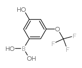 (2S,3R)-3-Methylglutamic Acid Hydrochloride Salt - Chemical structure and product image