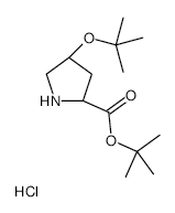 2-Methyl-1,5-heptadiene (cis- and trans- mixture) - Chemical structure and product image