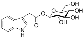 N,2-Dimethylcyclohexan-1-amine Hydrochloride - Chemical structure and product image