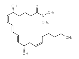 	Leukotriene B4-dimethyl Amide - Chemical structure and product image