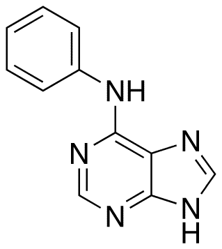Phenyl(9H-purin-6-yl)amine - Chemical structure and product image