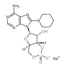8-PIP-cAMP - Chemical structure and product image