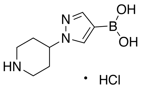 B-[1-(4-Piperidinyl)-1H-pyrazol-4-yl]boronic Acid Hydrochloride - Chemical structure and product image
