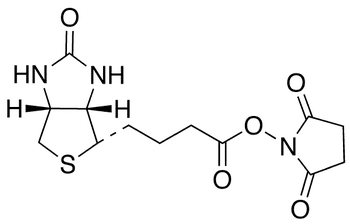 N-Succinimido (+)-Biotin - Chemical structure and product image