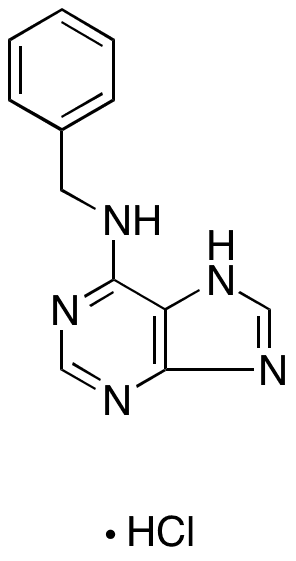 N-Benzyl-9H-purin-6-amine Hydrochloride - Chemical structure and product image
