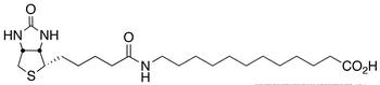 N-Biotinyl-12-aminododecanoic Acid - Chemical structure and product image
