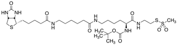 N2-t-Boc-N6-(biotinamido-6-N-caproylamido)lysinylamidoethane Methanethiosulfonate - Chemical structure and product image