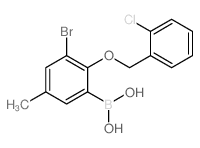 3-Bromo-2-(2-chlorobenzyloxy)-5-methylphenylboronic acid - Chemical structure and product image