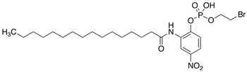 2’-(β-Bromoethylphosphoryl)-5’-nitrohexadecananilide - Chemical structure and product image