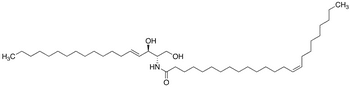 C24:1 Ceramide - Chemical structure and product image