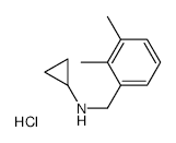 N-Cyclopropyl 2,3-dimethylbenzylamine Hydrochloride - Chemical structure and product image