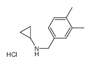 N-Cyclopropyl 3,4-dimethylbenzylamine Hydrochloride - Chemical structure and product image