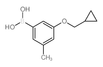 3-(Cyclopropylmethoxy)-5-methylphenylboronic acid - Chemical structure and product image