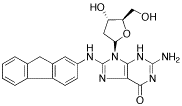 2-Deoxy-8-(9H-fluoren-2-ylamino)-guanosine - Chemical structure and product image