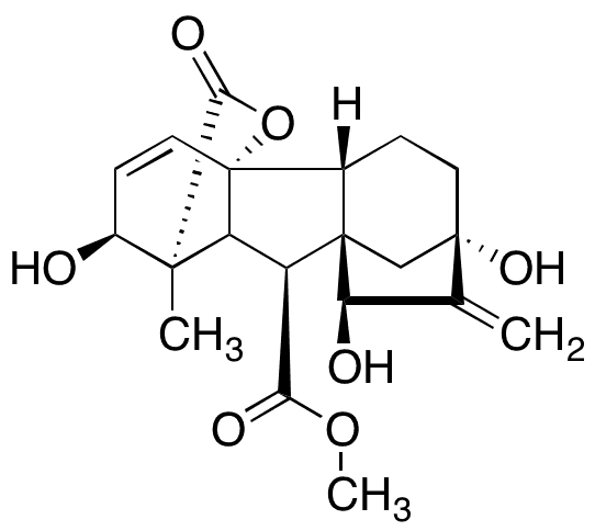 3-(Pyrrolidin-1-ylmethyl)aniline - Chemical structure and product image