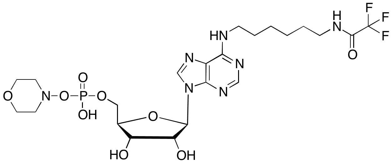γ-Oryzanol - Chemical structure and product image