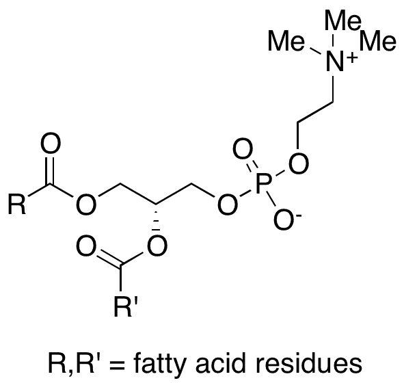 Lecithin - Chemical structure and product image