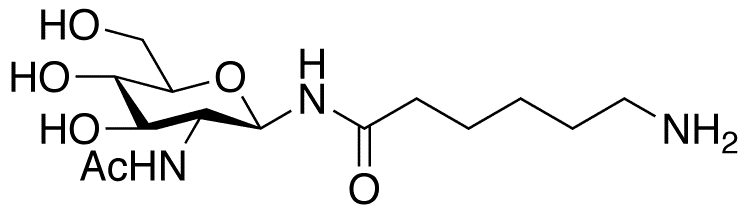 2-Acetamido-N-(e-aminocaproyl)-2-deoxy-β-D-glucopyranosylamine - Chemical structure and product image