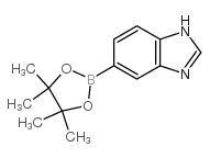 1H-Benzimidazole-5-boronic Acid Pinacol Ester - Chemical structure and product image