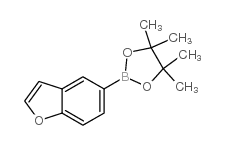 Benzofuran-5-boronic acid pinacol ester - Chemical structure and product image