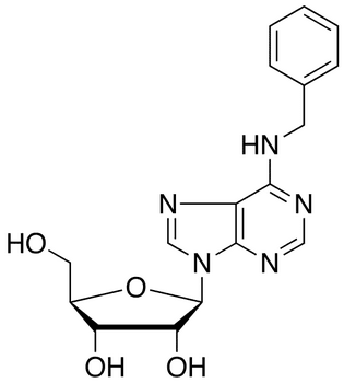 N6-Benzyl Adenosine - Chemical structure and product image