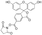 5-Carboxyfluorescein-N-hydroxysuccinimide Ester - Chemical structure and product image