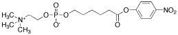 6-Carboxyhexylphosphocholine p-Nitrophenyl Ester - Chemical structure and product image