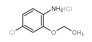 4-Chloro-2-ethoxyaniline, HCl - Chemical structure and product image