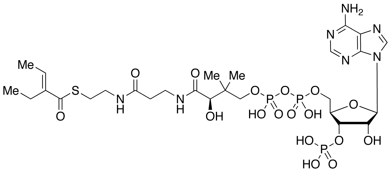 2-Ethyl Crotonyl Coenzyme A - Chemical structure and product image